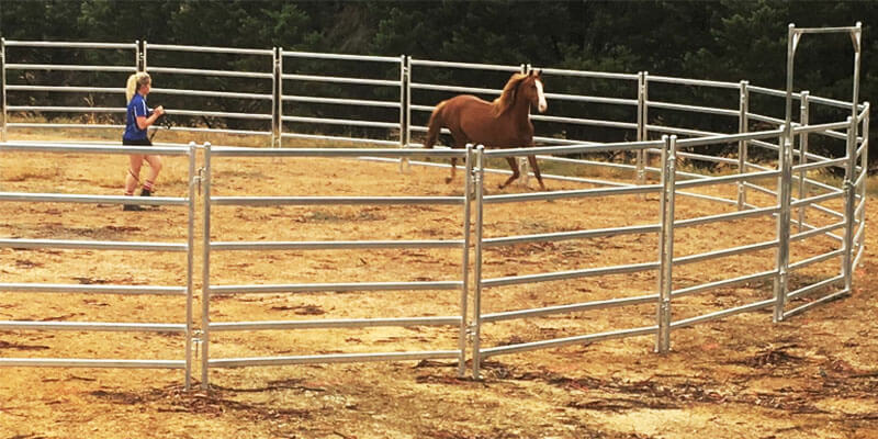 Corral Fence