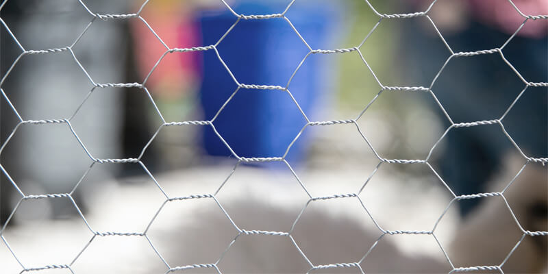 Hexagonal Wire Netting, Chicken Wire, Gi Chicken Mesh