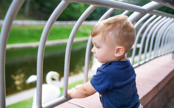fence safety